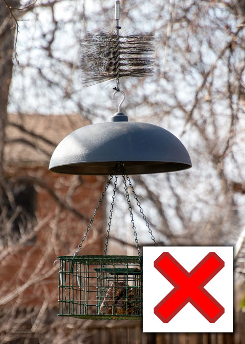 Version 2 of bird feeder with squirrel baffle and chimney brush