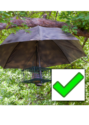 Squirrel proof bird feeder with umbrella baffle