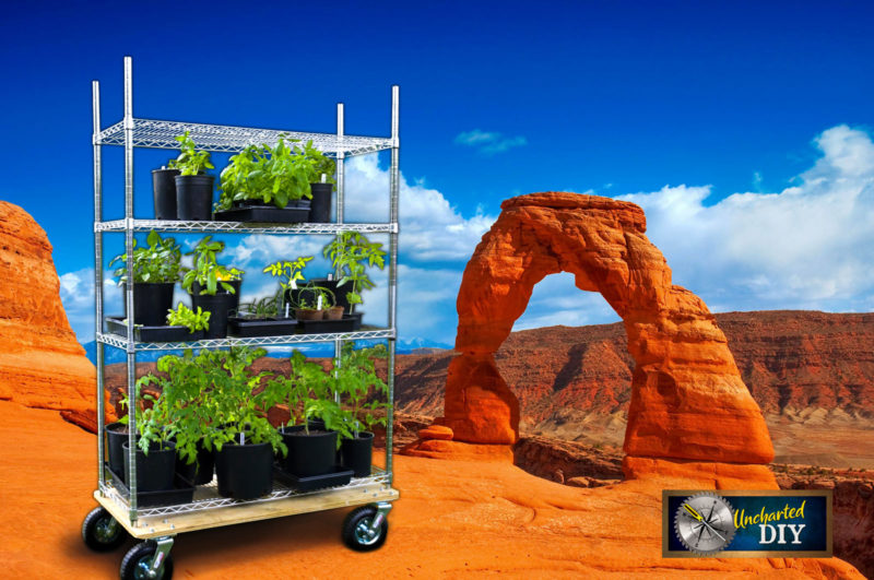 Plant rack with large wheels at Delicate Arch, Arches National Park