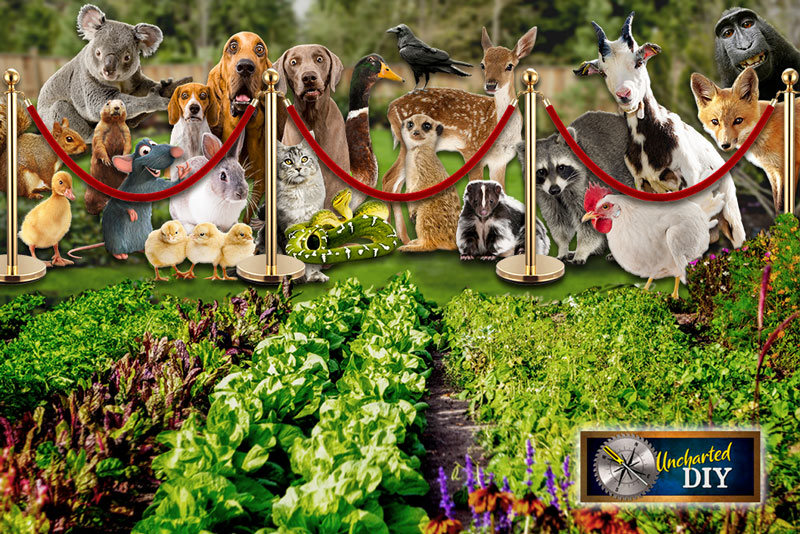 Garden with velvet rope barriers keeping out menagerie of animals